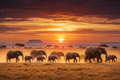 Elephant Herd