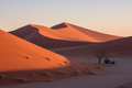 Namib Desert Adventure – 7 Days